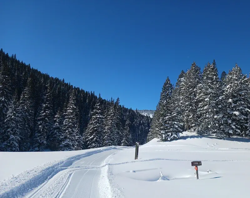 Groomed snowmobile trail